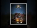 60s Old Songs Whats App Status Old Song Status Old Love Song Status