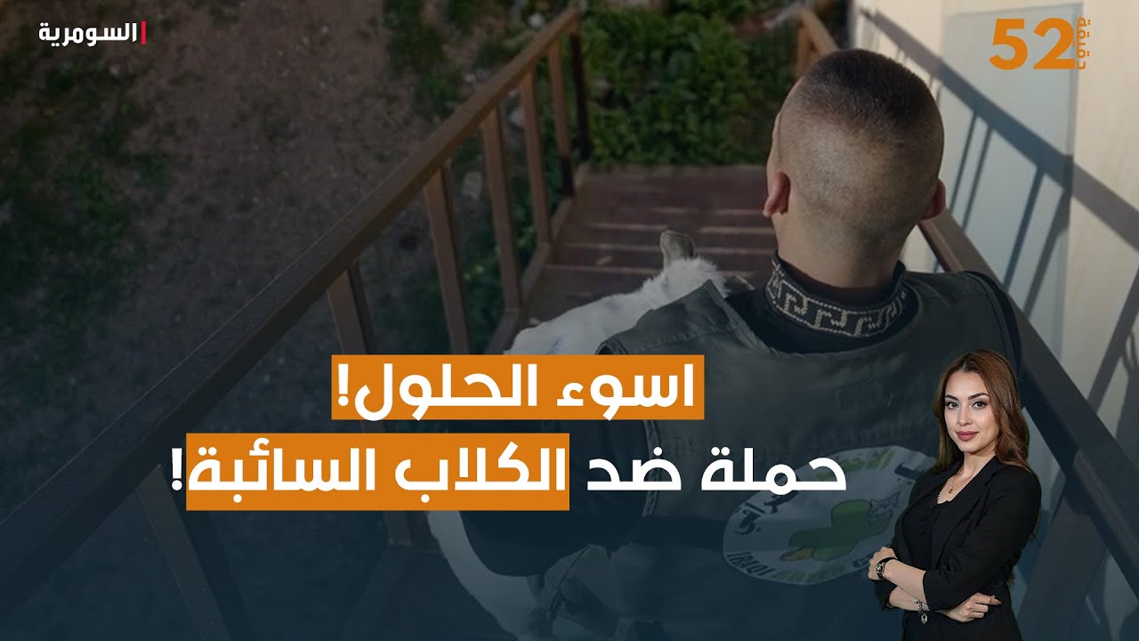 فيديو | اسوء الحلول! حملة ضد الكلاب السائبة!