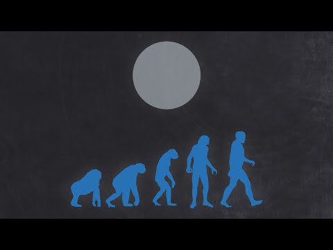 Arronax - Dive Into Merak