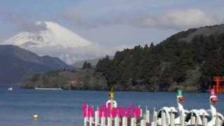 111. Le aquile non volano a stormi, de Franco Battiato