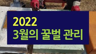 2022. 3월의 꿀벌관리