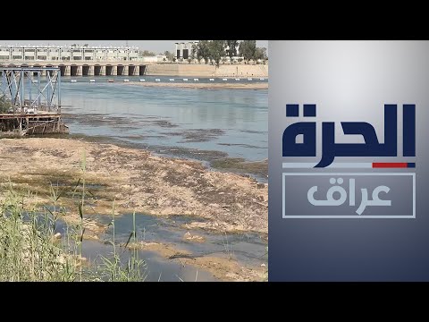 شاهد بالفيديو.. "أوقفوا قتل نهر الفرات".. حملة مدنية في مدينة الرمادي بالأنبار