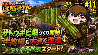 🌾エンチャント準備開始！サトウキビ畑を作る！【＃11】