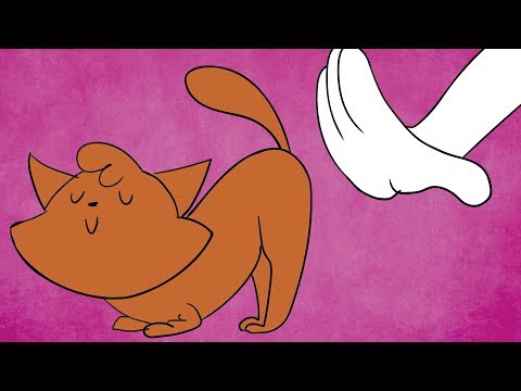 Why Do Cat Butts Raise When You Pet Them? | SPD #092