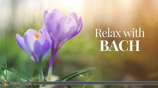 6 Hours Bach for Studying, Concentration, Relaxation