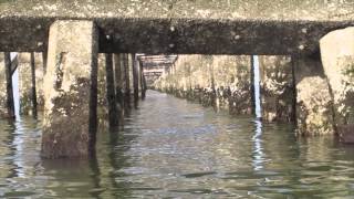 Seahenge: The Outer Reaches of the Berkeley Pier (revised with new footage)