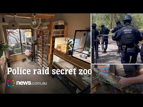 Police drug raid uncovers makeshift exotic zoo