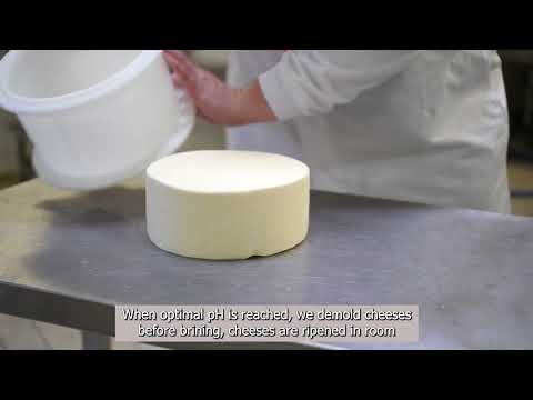 Ingredia Food Expert voice Benefits of proteins in traditional cheese making