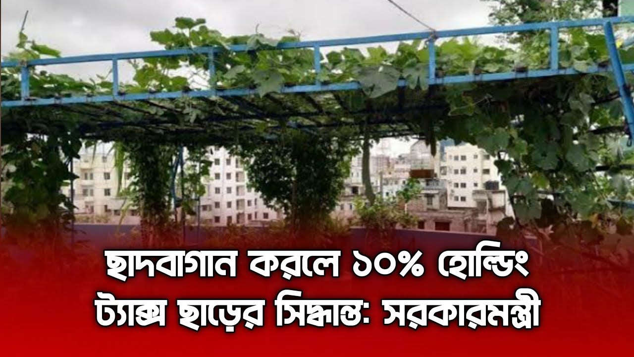 ছাদবাগান করলে ১০% হোল্ডিং ট্যাক্স ছাড়ের সিদ্ধান্ত: স্থানীয় সরকারমন্ত্রী