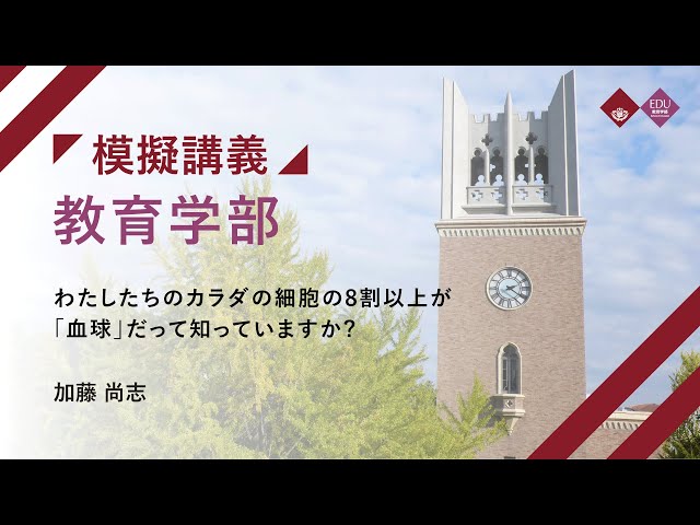 動画サムネイル