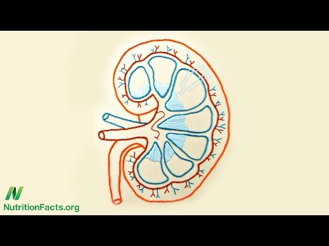 How Not to Die from Kidney Disease