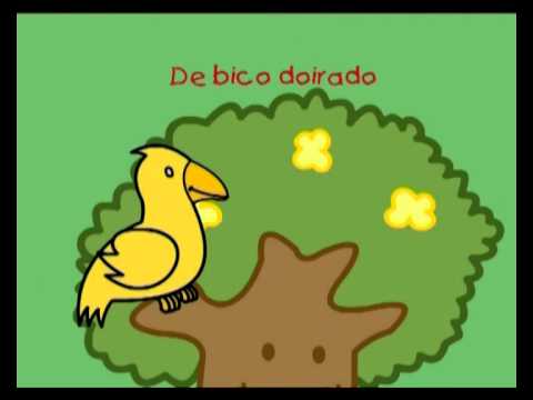 Papagaio Loiro video