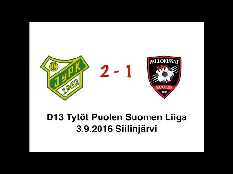 PLS TD13 2016 JyPK03U - Pallokissat