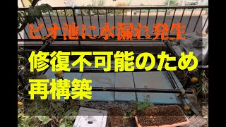ビオ池に水漏れ発生！修復不可能でやむなく再構築に
