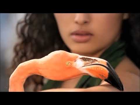 Gouryella - Ligaya (Green Court Remix video)