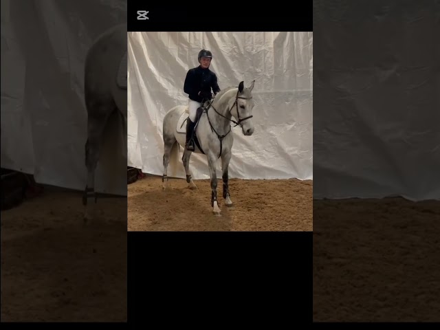 Online Training Package