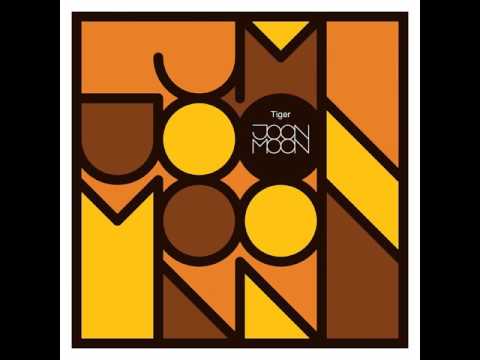 Joon Moon - Tiger (Radio Edit)