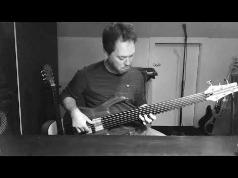 Talk Talk - Tomorrow Started fretless bass cover