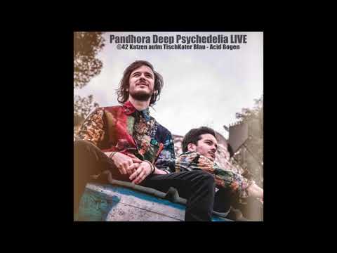 Pandhora Deep Psychedelia LIVE @42 Katzen aufm Tisch | Kater Blau Acid Bogen