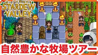 【牧場ツアー】作り始めて一年が経ったあーくんの「STARDEW VALLEY」のんびりみてね。 #スターデューバレー  #スタバレ