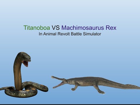 Titanoboa Vs Machimosaurus Rex | Animal Revolt Battle Simulator