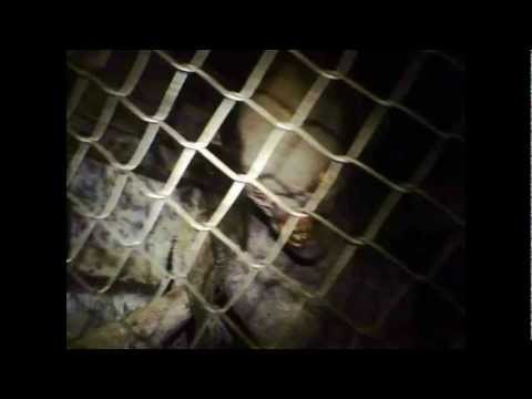 Fort Chaffee Video 2