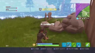 フォートナイトスカイベンジャーモード25ポイントいくぜ