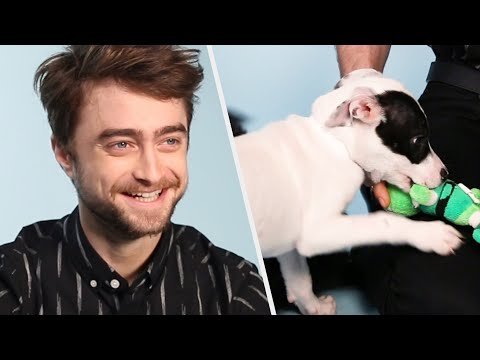 Daniel Radcliffe si hraje se štěňátky a odpovídá na dotazy