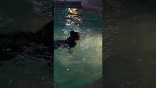 Happy Holidays everyone 🎉 #holidayswithyoutube #christmas2025 #shortsafrica #swimming