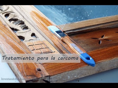 Cómo acabar con la carcoma