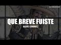 Vicente Fernández - Que Breve Fuiste (LETRA)