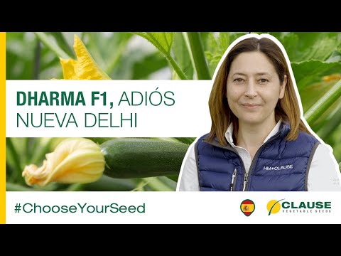 Video: DHARMA F1
