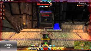 Gw2 WvW Ranger Roaming Eir Wolfthorn [lpe] 2.0