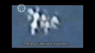 ANGELS Flying in The Sky Caught On Tape