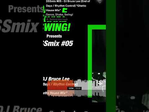 DSSmix #05 - DJ Bruce Lee (End of Dayz / Rhythm Control) “Ghetto House Mix”