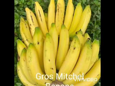 La Banana (90's song)