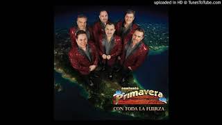Conjunto Primavera - Perfecto Amor