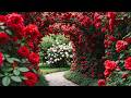 Secret Garden Hideaway 2026 Beautiful Cottage Backyard Calm Relaxing Sounds