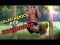 Calisthenics for Beginners