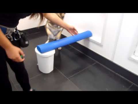 TpsB Daycare #9 Akela Agility Fun