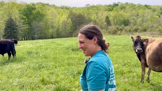 Happy Cows, Happy Wife | Homestead Vlog | April 23, 2025