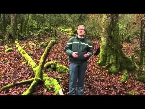 Les 10 ans de la Combe Lavaux  (09/01/2015)