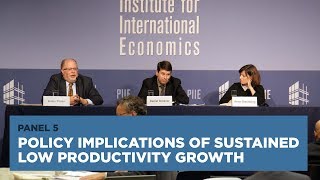 Policy Implications of Sustained Low Productivity Growth: Panel 5