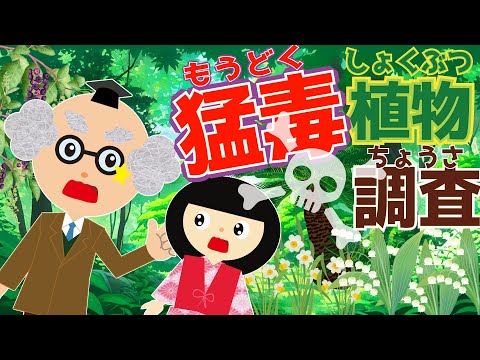 メギ: 有毒ですか、それとも食用ですか? 植物