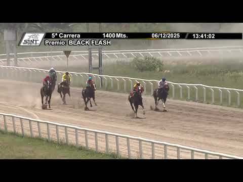 251206 c05 - THE MEDITERRANEAN - SINT COLONIA