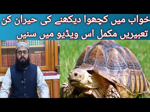 khawab main kachwa dekhna ki tabeer|| خواب میں کچھوا دیکھنے کی تعبیر|| مفتی حبیب الرحمٰن