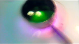 Cover art for Guess My Crush