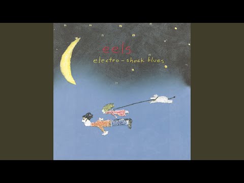 P.S. You Rock My World - EELS