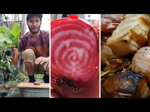 Roasted Beetroot Straight from the Garden