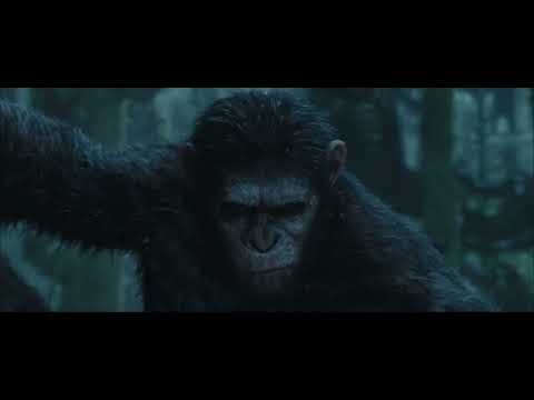 Planet of the apes / Caesar edit 🥶